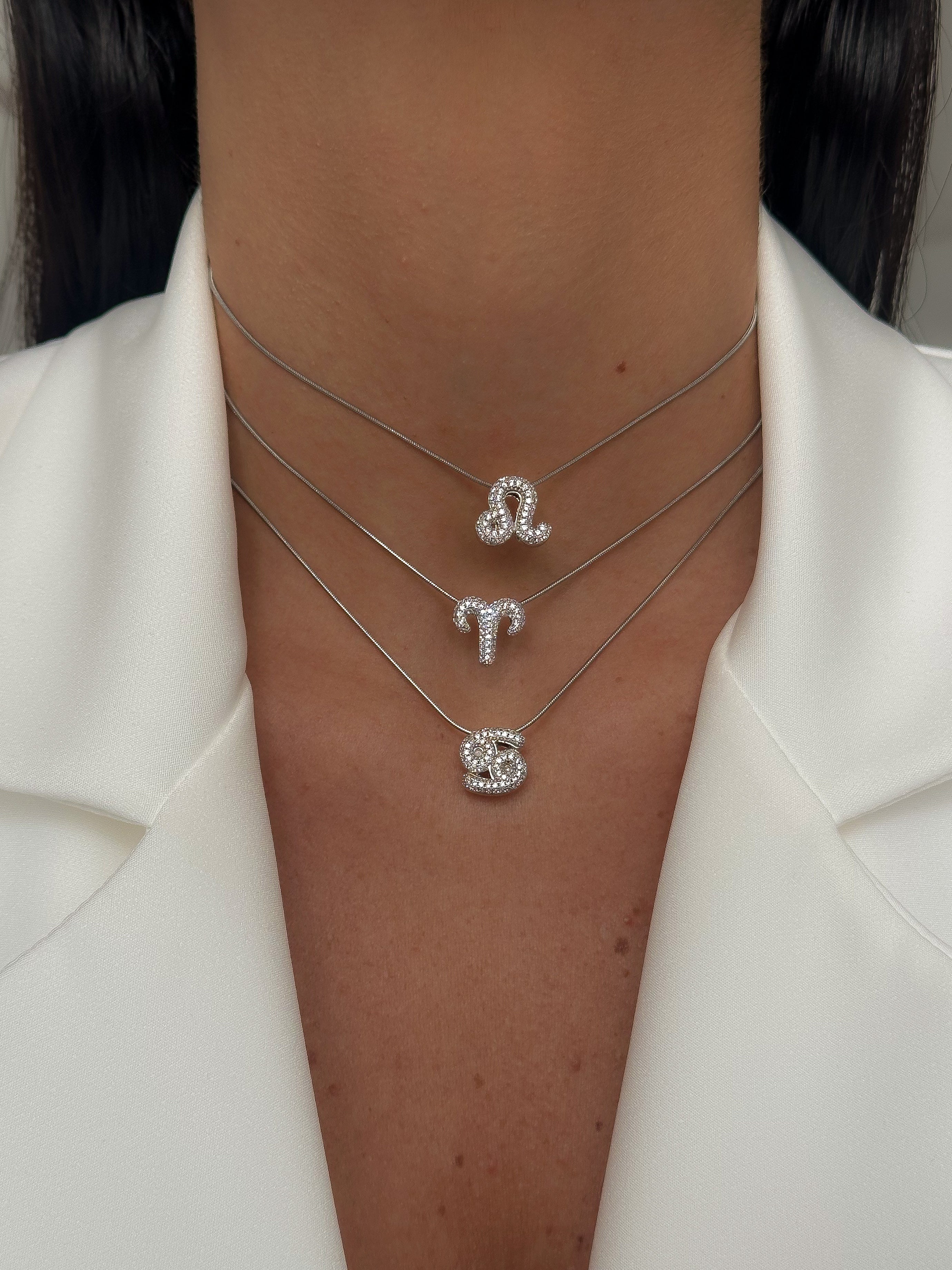 CHARM PETITE ZODIAC